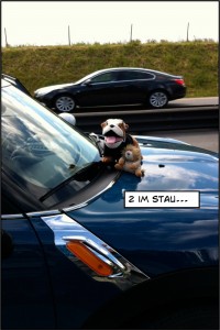 foto_05.06.12_11_52_47