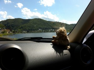 foto_08.06.12_16_12_28