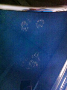 foto_16.06.12_09_52_10